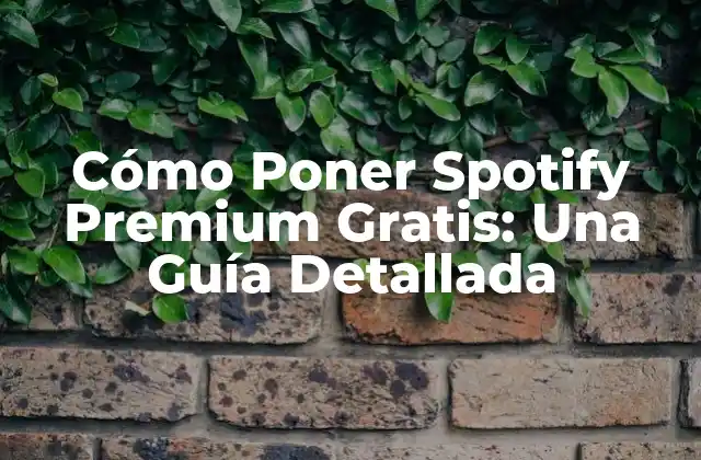 Cómo Poner Spotify Premium Gratis: una Guía Detallada