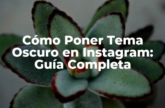 ¿Por qué el Tema Oscuro es Tan Popular en Instagram?