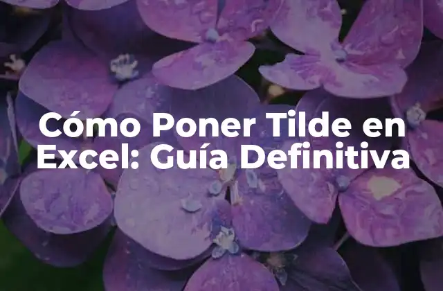Cómo Poner Tilde en Excel: Guía Definitiva 2 ¿Por qué es Importante Poner Tilde en Excel?