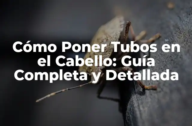 Cómo Poner Tubos en el Cabello: Guía Completa y Detallada
