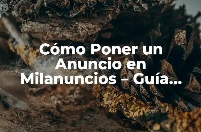 Cómo Poner un Anuncio en Milanuncios – Guía Detallada y Completa