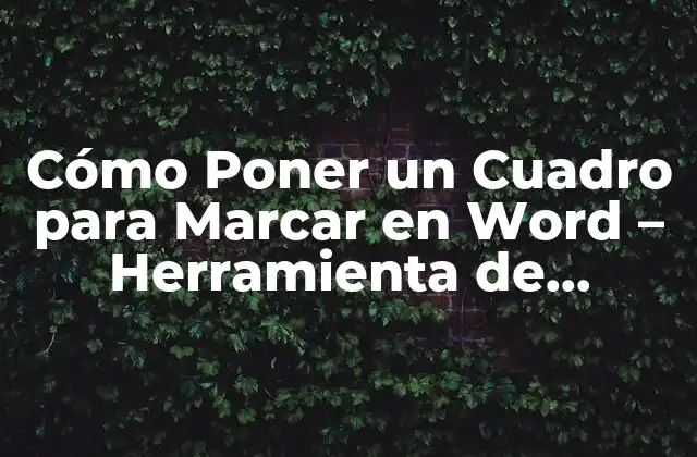 ¿Qué es la Herramienta de Marcado en Word?