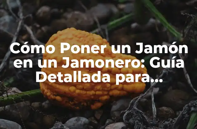 Cómo Poner un Jamón en un Jamonero: Guía Detallada para Principiantes