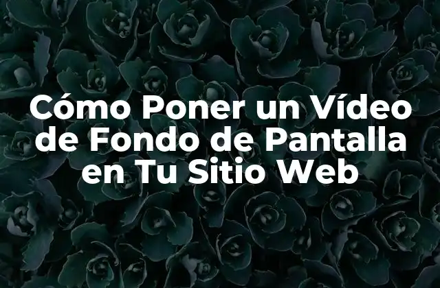 Cómo Poner un Vídeo de Fondo de Pantalla en Tu Sitio Web 2 Ventajas de Poner un Vídeo de Fondo de Pantalla