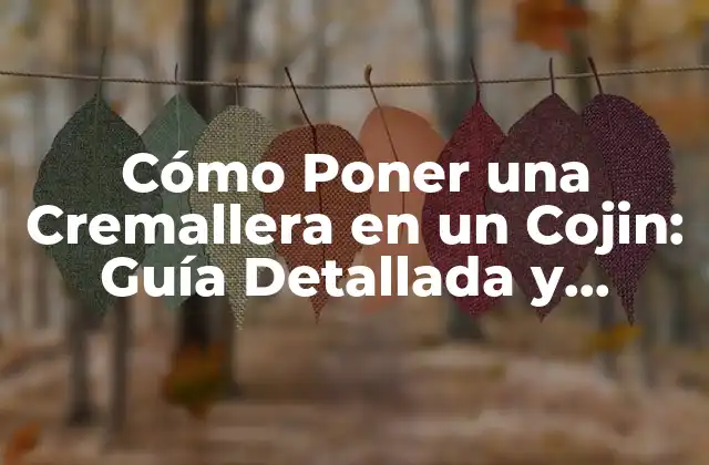 Cómo Poner una Cremallera en un Cojin: Guía Detallada y Práctica