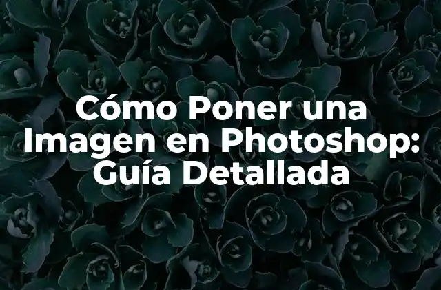 Cómo Poner una Imagen en Photoshop: Guía Detallada 2 Formas de Abrir una Imagen en Photoshop