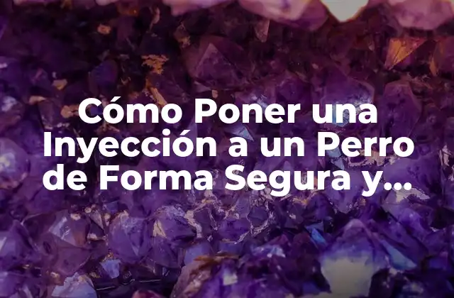 Cómo Poner una Inyección a un Perro de Forma Segura y Efectiva