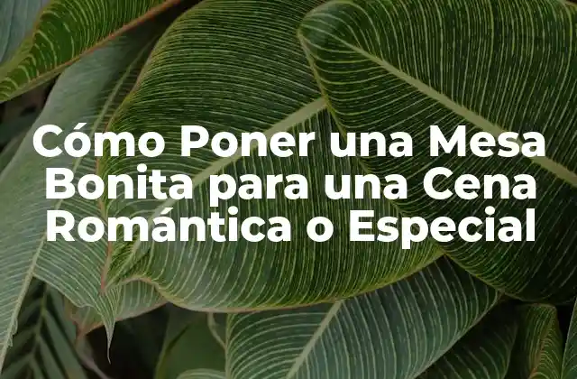 Cómo Poner una Mesa Bonita para una Cena Romántica o Especial