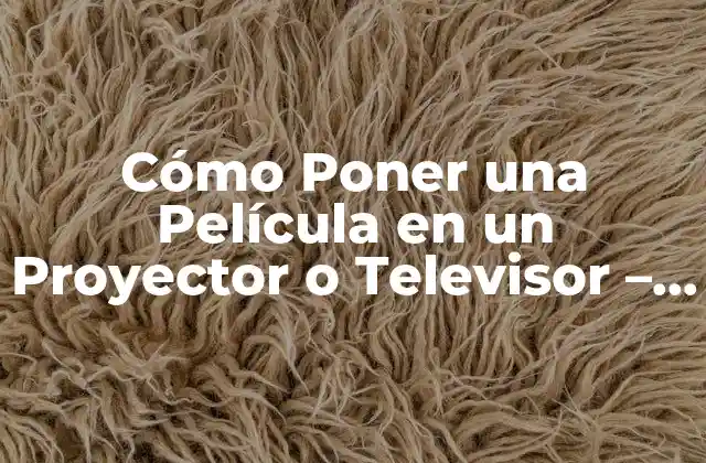 Cómo Poner una Película en un Proyector o Televisor – Guía Completa