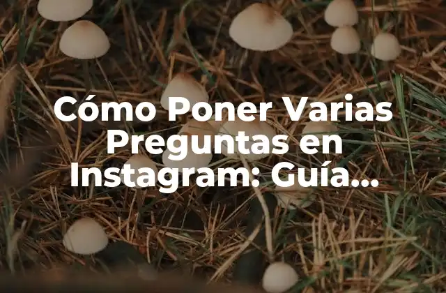 Ventajas de Poner Varias Preguntas en Instagram