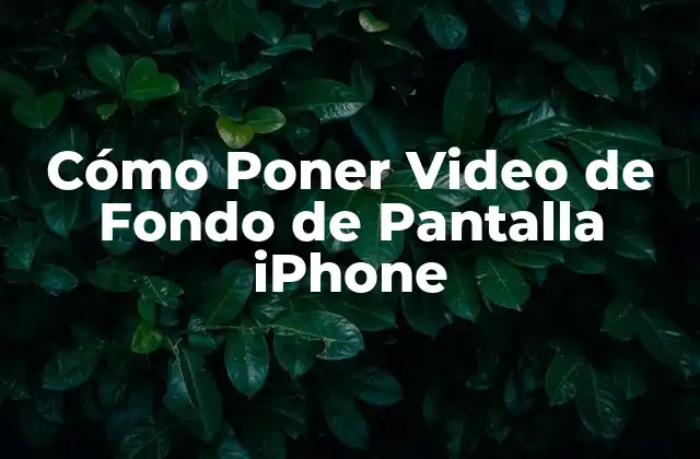 ¿Por qué Poner un Video de Fondo de Pantalla iPhone es Tan Popular?