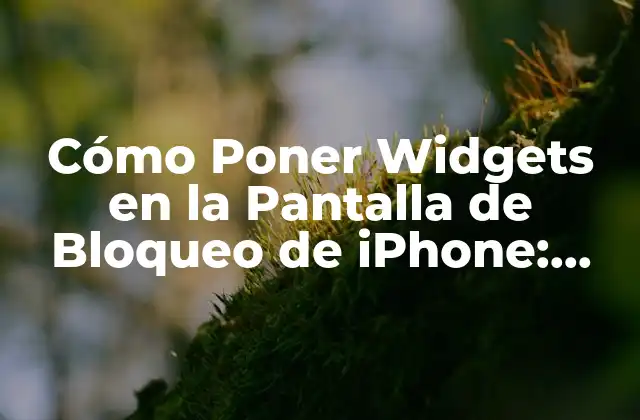 Cómo Poner Widgets en la Pantalla de Bloqueo de Iphone: Guía Completa