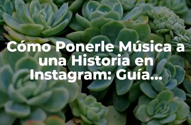 Cómo Ponerle Música a una Historia en Instagram: Guía Detallada