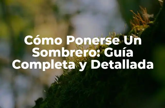 Cómo Ponerse un Sombrero: Guía Completa y Detallada