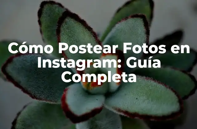 Preparación para Postear Fotos en Instagram