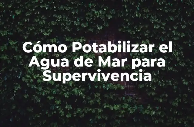 Cómo Potabilizar el Agua de Mar para Supervivencia