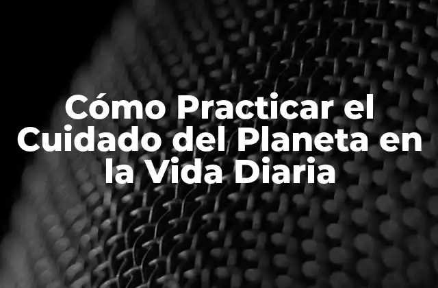 Cómo Practicar el Cuidado Del Planeta en la Vida Diaria