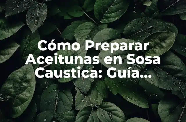 Cómo Preparar Aceitunas en Sosa Caustica: Guía Completa y Segura
