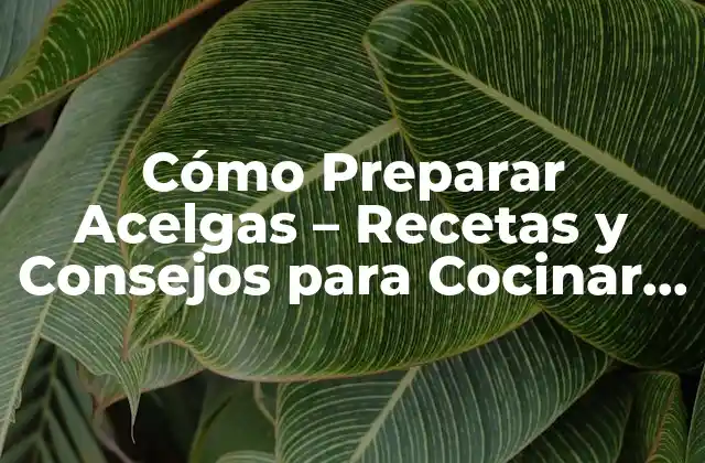 Cómo Preparar Acelgas – Recetas y Consejos para Cocinar Acelgas Frescas