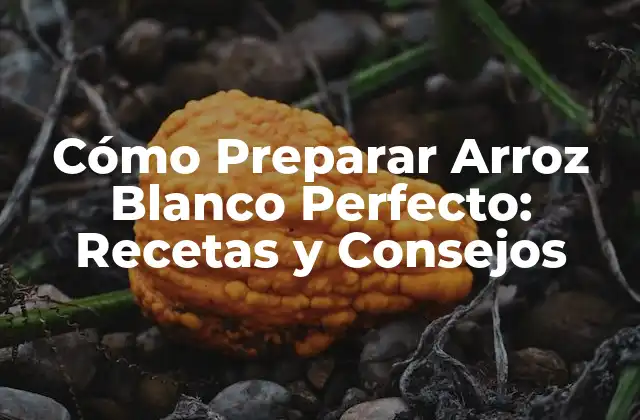 Cómo Preparar Arroz Blanco Perfecto: Recetas y Consejos