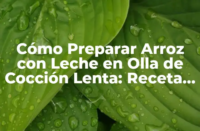 Cómo Preparar Arroz con Leche en Olla de Cocción Lenta: Receta Fácil y Deliciosa