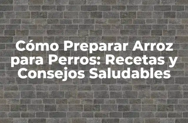 Cómo Preparar Arroz para Perros: Recetas y Consejos Saludables