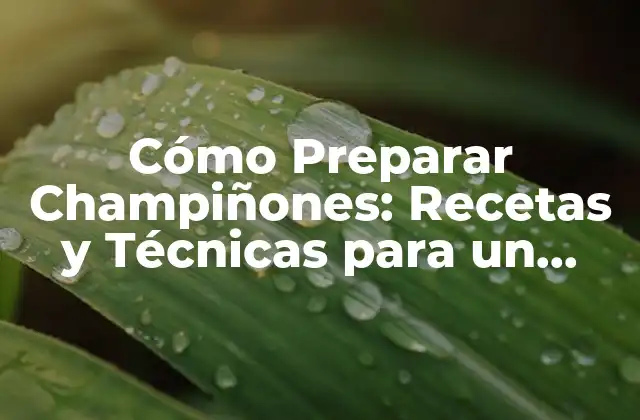 Cómo Preparar Champiñones: Recetas y Técnicas para un Plato Exquisito