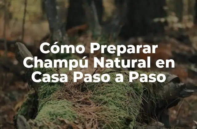 Cómo Preparar Champú Natural en Casa Paso a Paso