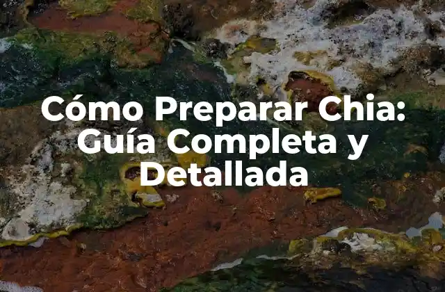 ¿Cuánto Debo Consumir de Chia al Día?