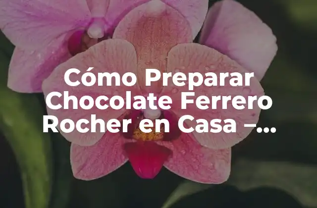 Ingredientes Necesarios para Preparar Chocolate Ferrero Rocher