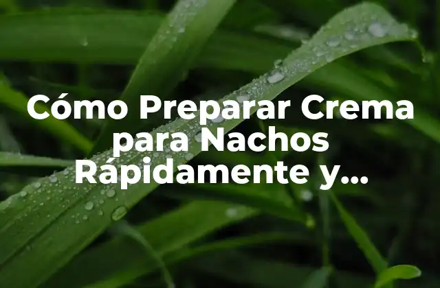 Cómo Preparar Crema para Nachos Rápidamente y Deliciosamente 2 Ingredientes Necesarios para Preparar Crema para Nachos