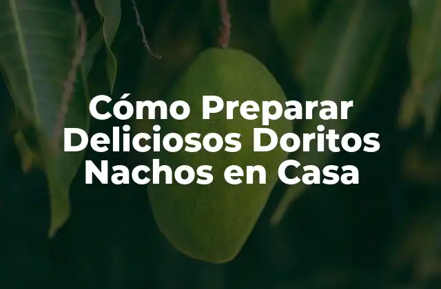 Cómo Preparar Deliciosos Doritos Nachos en Casa