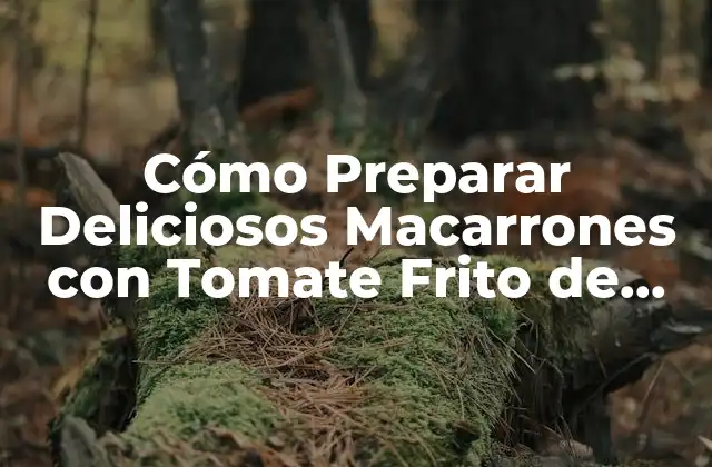 Cómo Preparar Deliciosos Macarrones con Tomate Frito de Bote