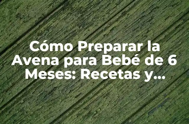 Cómo Preparar la Avena para Bebé de 6 Meses: Recetas y Consejos