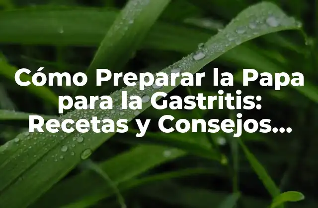 Cómo Preparar la Papa para la Gastritis: Recetas y Consejos Útiles