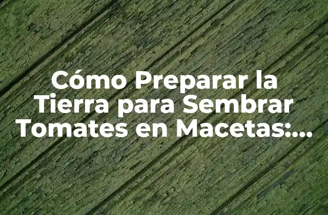 Cómo Preparar la Tierra para Sembrar Tomates en Macetas: Guía Completa