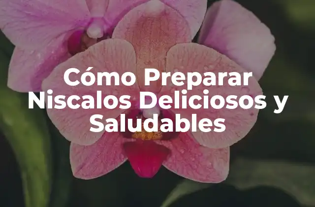 Cómo Preparar Niscalos Deliciosos y Saludables 2 ¿Qué son los Niscalos y cuáles son sus Beneficios?