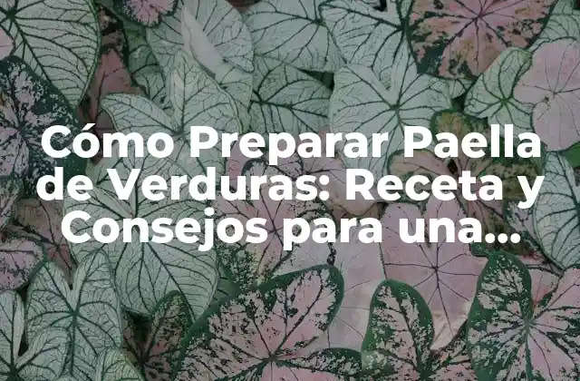 Cómo Preparar Paella de Verduras: Receta y Consejos para una Deliciosa Comida