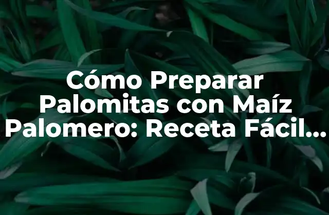 Cómo Preparar Palomitas con Maíz Palomero: Receta Fácil y Deliciosa