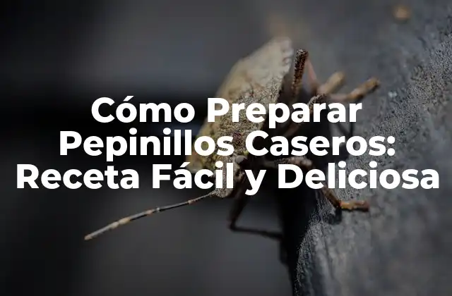¿Cuáles son los Beneficios de Preparar Pepinillos Caseros?