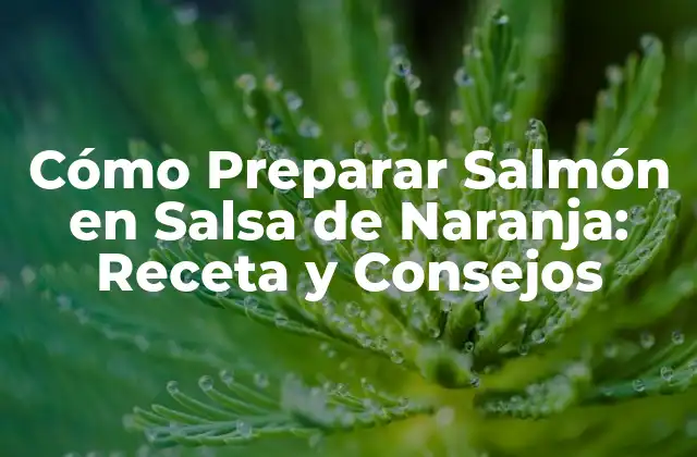 Cómo Preparar Salmón en Salsa de Naranja: Receta y Consejos
