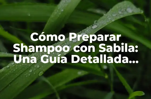 Cómo Preparar Shampoo con Sabila: una Guía Detallada para Cabello Sano