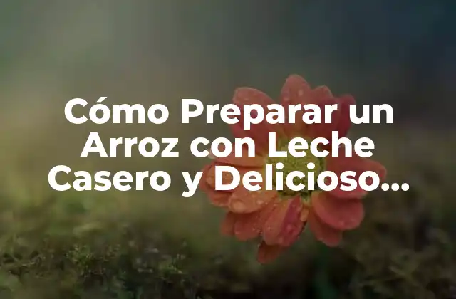 Cómo Preparar un Arroz con Leche Casero y Delicioso (receta Fácil)