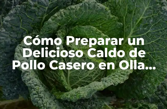 Cómo Preparar un Delicioso Caldo de Pollo Casero en Olla Express