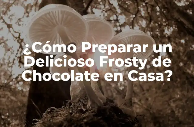 ¿cómo Preparar un Delicioso Frosty de Chocolate en Casa?