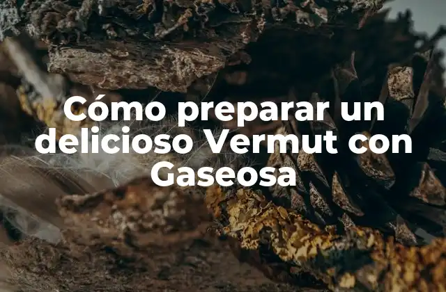 Cómo Preparar un Delicioso Vermut con Gaseosa 2 Orígenes del Vermut con Gaseosa