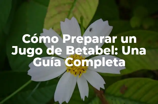 Cómo Preparar un Jugo de Betabel: una Guía Completa 2 Beneficios del Jugo de Betabel para la Salud