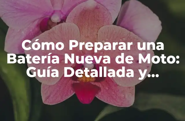 Cómo Preparar una Batería Nueva de Moto: Guía Detallada y Completa