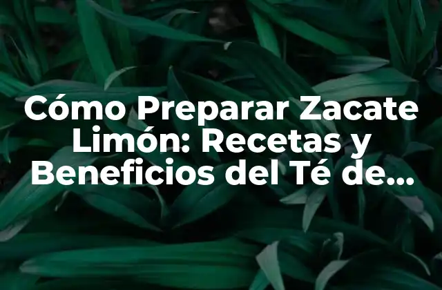 Cómo Preparar Zacate Limón: Recetas y Beneficios Del Té de Zacate 2 Orígenes y Propiedades del Zacate Limón