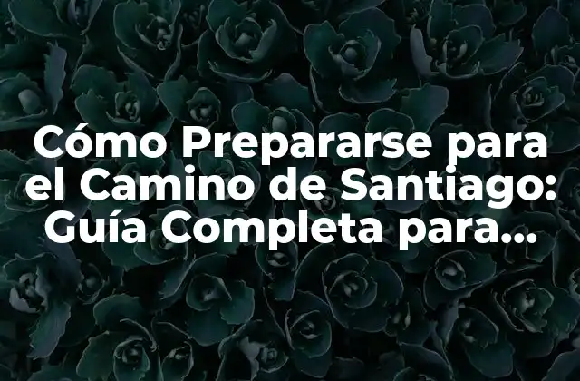 ¿Cuál es el Mejor Momento para Realizar el Camino de Santiago?